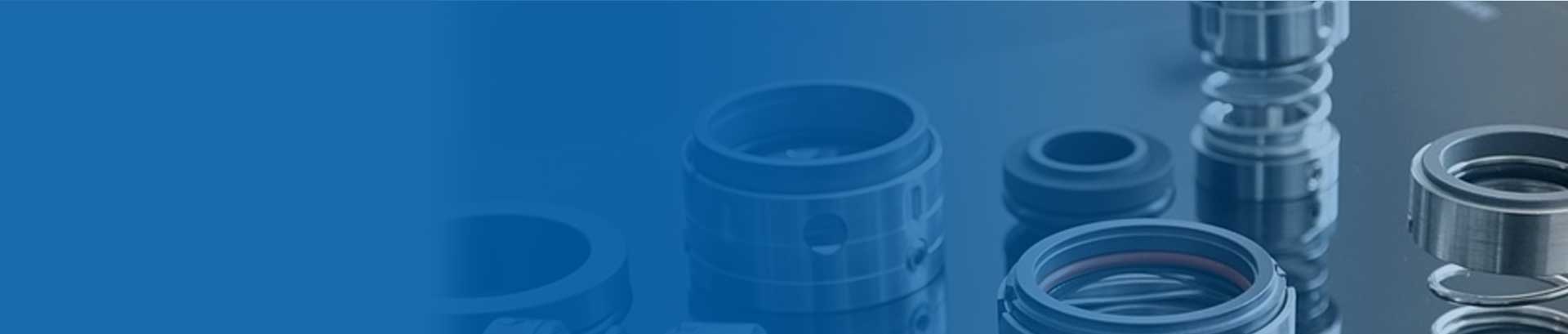 Double Cartridge Mechanical Seals